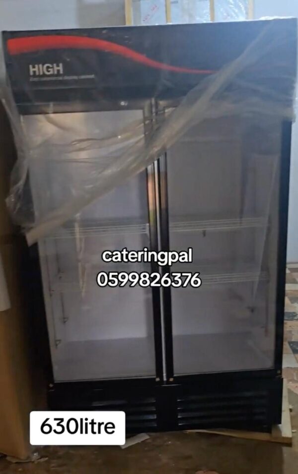 Double-Door Single Freezer