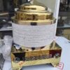 Indian Luxury Chafer 001