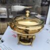 Indian Luxury Chafer 002