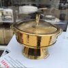 Indian Luxury Chafer 003