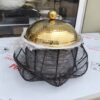 Indian Luxury Chafer 006