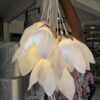Pendant Lights 005