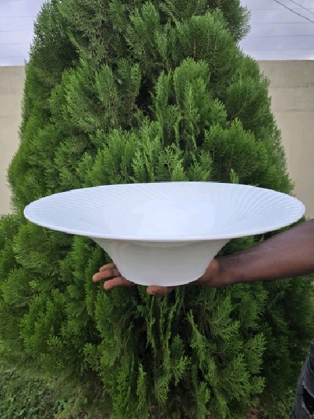 Large Orbit Bowl
