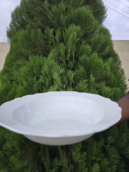 Medium Round