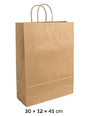 Paper Bag with Long Handle (25pcs)