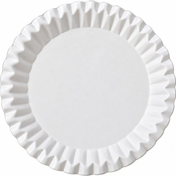 Mini Disposable plate