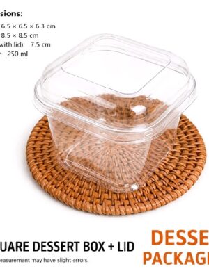 Square Disposable Bowl (50pcs)