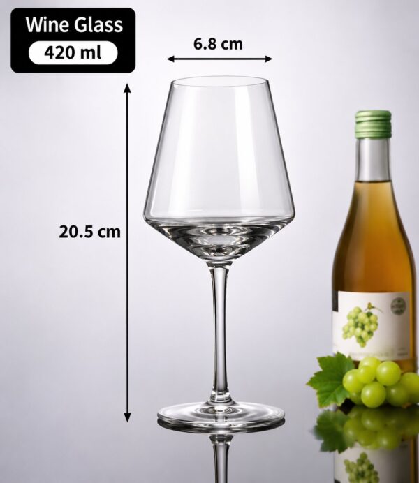 Acrylic Wine glass